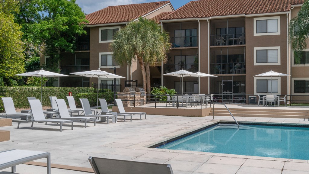 Laurels At Jacaranda