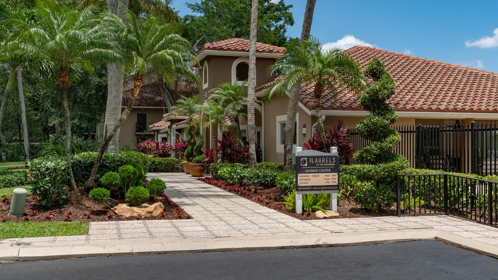 Laurels At Jacaranda