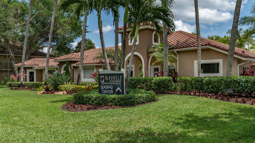 Laurels At Jacaranda