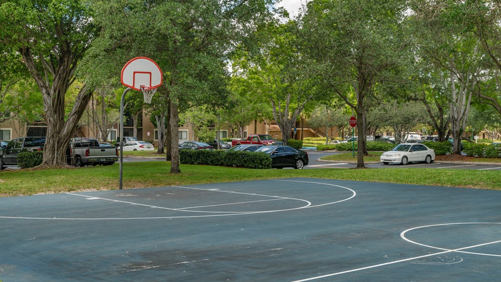 Laurels At Jacaranda
