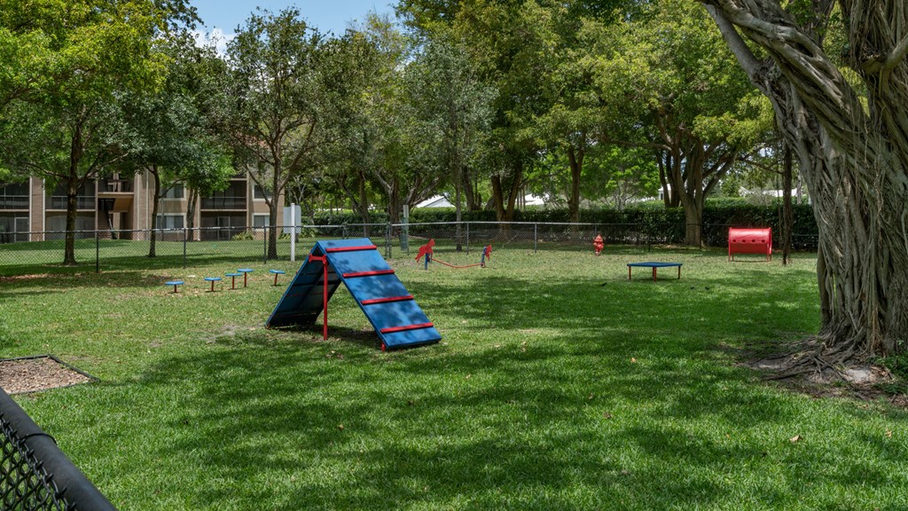 Laurels At Jacaranda