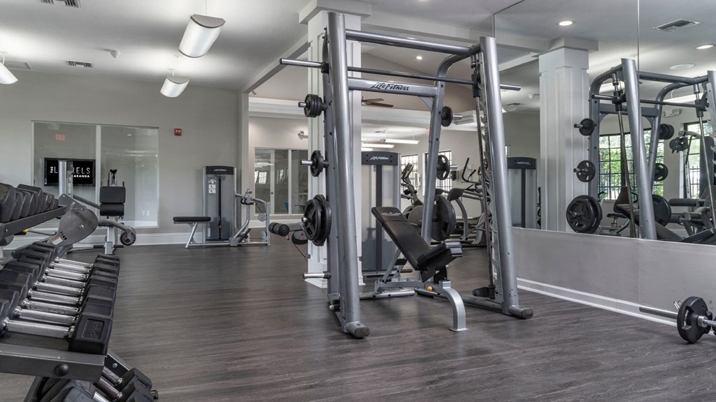 Laurels At Jacaranda