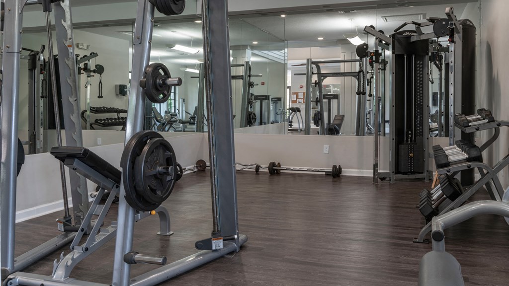 Laurels At Jacaranda