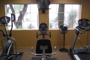 9901 N. Oracle Rd. 1-3 Beds Apartment for Rent - Photo Gallery 5