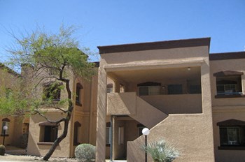 9901 N. Oracle Rd. 1-3 Beds Apartment for Rent - Photo Gallery 2