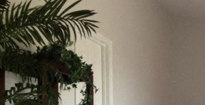 Riata Court Apartments Apartments In Tucson Az