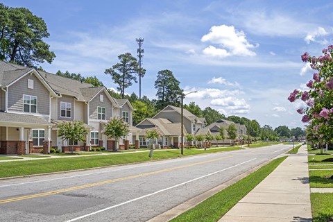 a row of houses on the side of a street