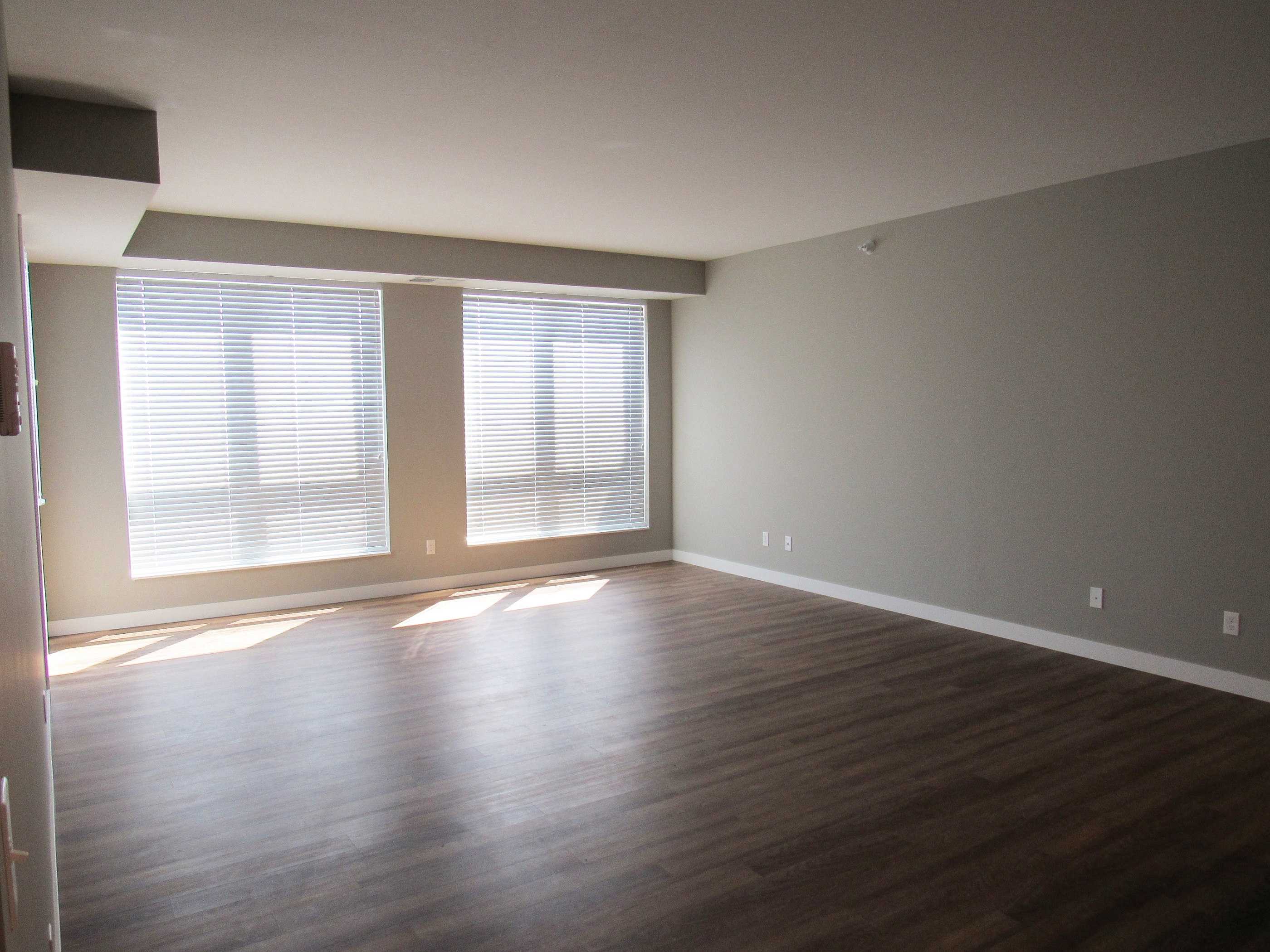lighthouse loft living room windows