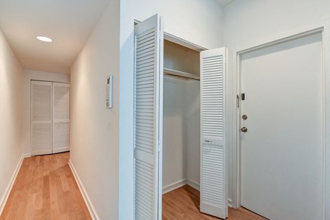 a bedroom with a closet and a door to a closet