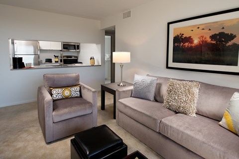 a living room with a couch and a chair