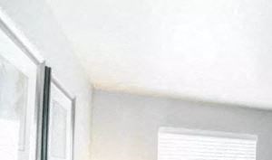 Spacious Bedroom with Natural Light and Hardwood Style Flooring