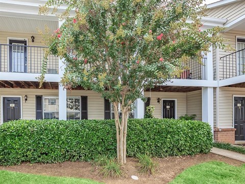 a house with a tree in front of it