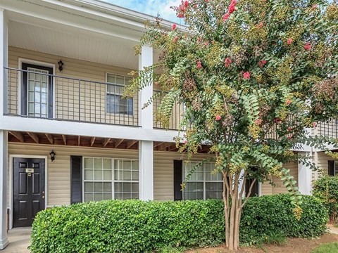 a house with a tree in front of it