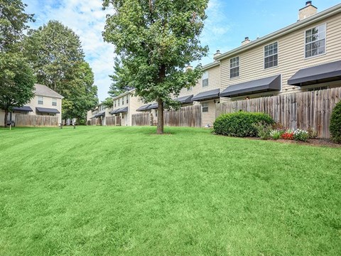 a backyard with a tree and a fence