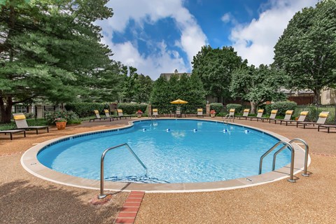 a swimming pool with chairs around it and trees in the background