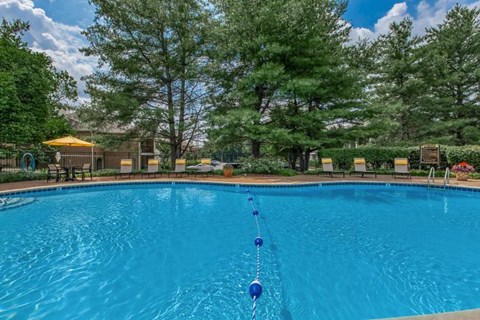 a large blue swimming pool with trees in the background