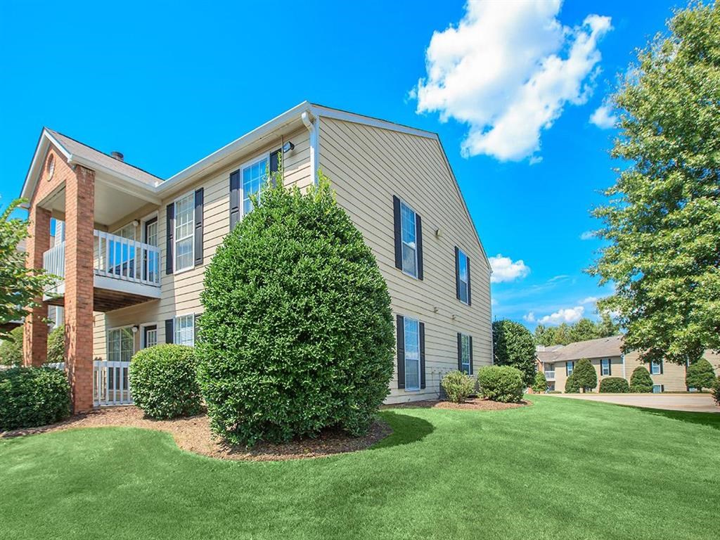 a large green tree in front of an apartment building