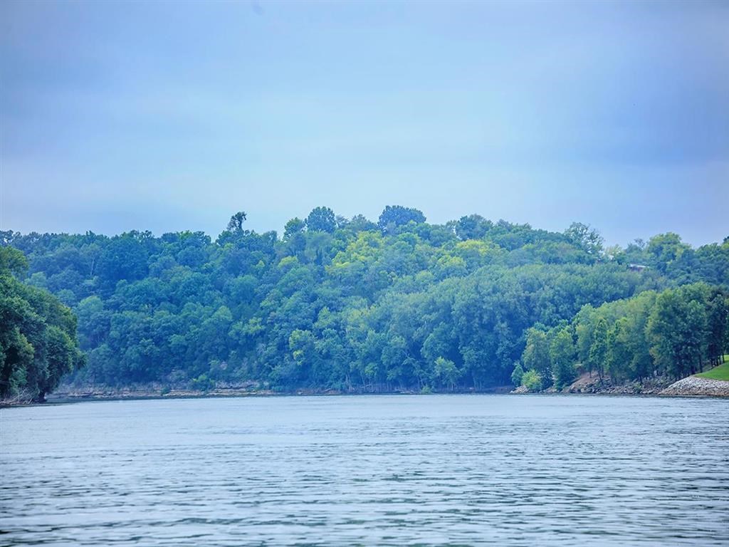 a body of water with trees on the other side of it