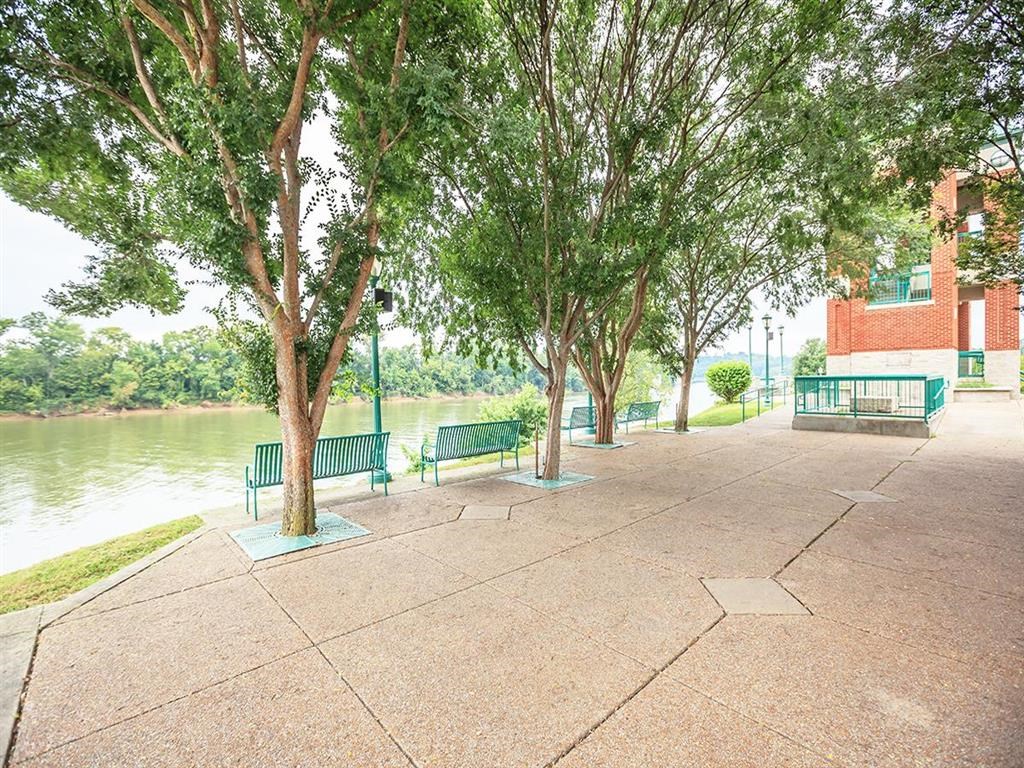 a row of benches sitting next to a river