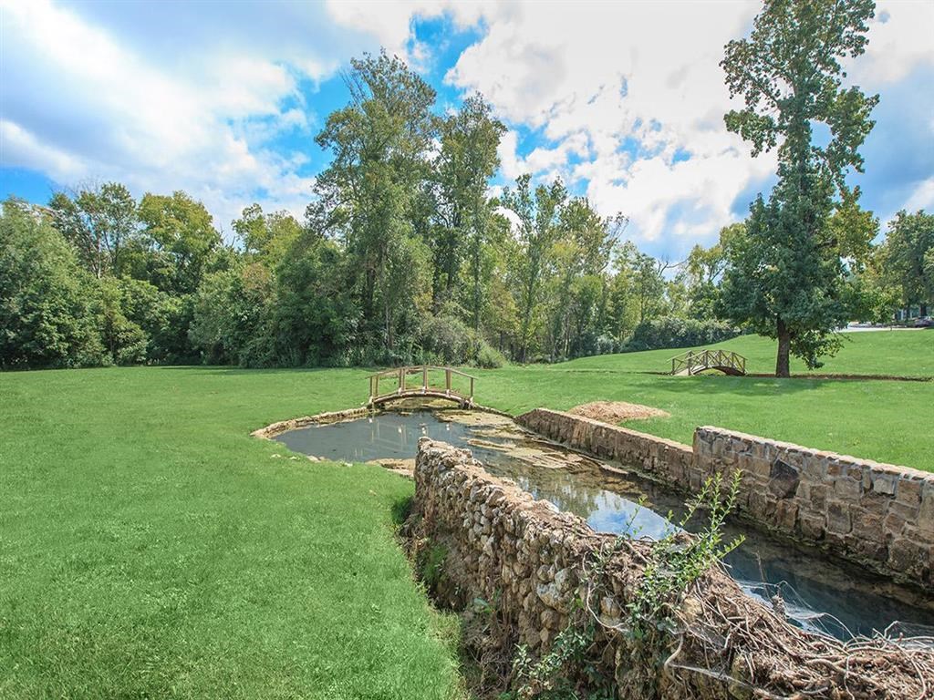a pond in the middle of a grassy field