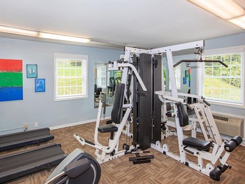 the gym has a lot of equipment in it