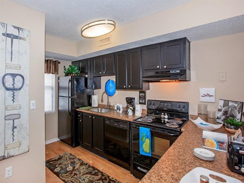 a kitchen with black appliances and black cabinets