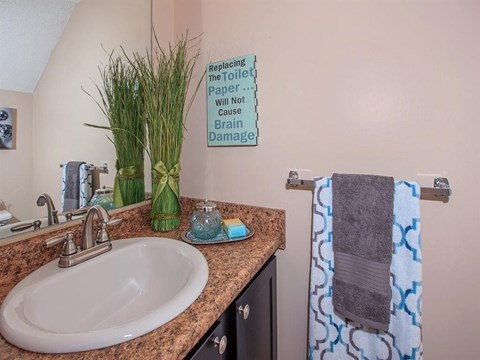 a bathroom with a sink and a plant on the counter