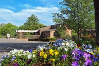 a view of a house with flowers in front of it