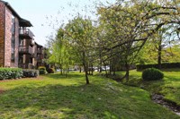 a park with trees in front of a building