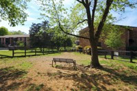 a bench sitting under a tree in a park
