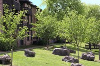 a yard with rocks and trees in front of a building