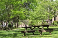 a picnic table in a park with trees