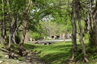 a park with trees and a bridge