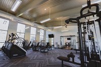 the gym has a lot of exercise equipment in it