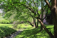 a path in a park with trees and a house