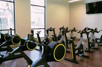 a group of exercise bikes in a gym