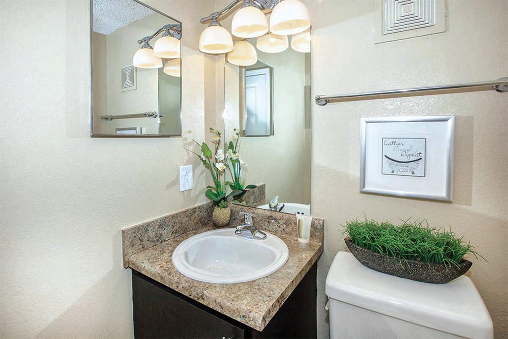 a bathroom with a sink and a mirror and a toilet