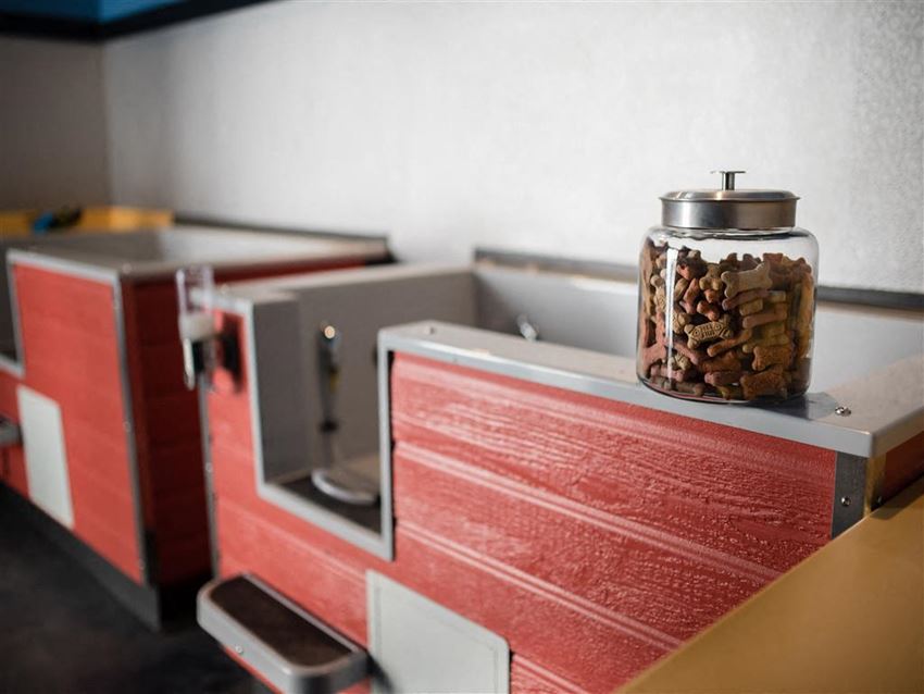 Dog Wash Station - Photo Gallery