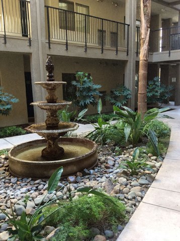 Water Feature  l Davinci Apartments 