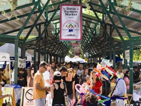 farmers market  l Davinci Apartments 