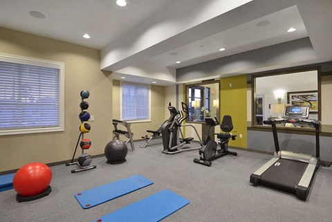the gym is stocked with cardio equipment and exercise balls