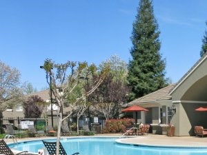 Roseville CA Apartments - Pinnacle at Galleria Pool Roseville CA Apartments - Pinnacle at Galleria Pool - Photo Gallery 4
