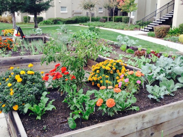 Roseville CA Apartments | Pinnacle at Galleria Apartments