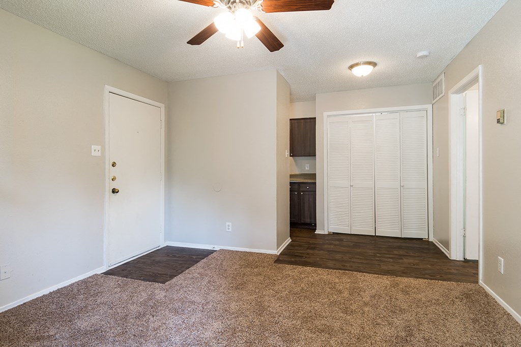 living room with carpet and a ceiling fan