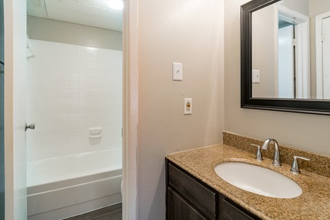 a bathroom with a sink and a shower and a mirror
