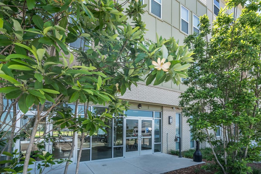 a sidewalk in front of a building with trees