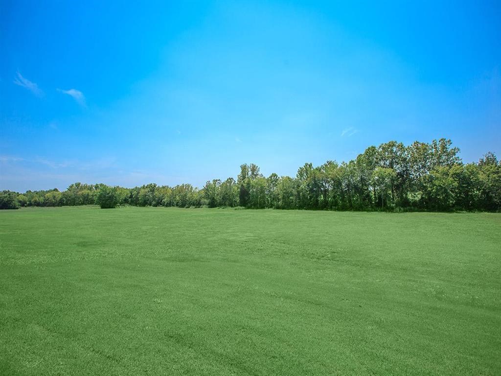 a large field of green grass with trees in the background