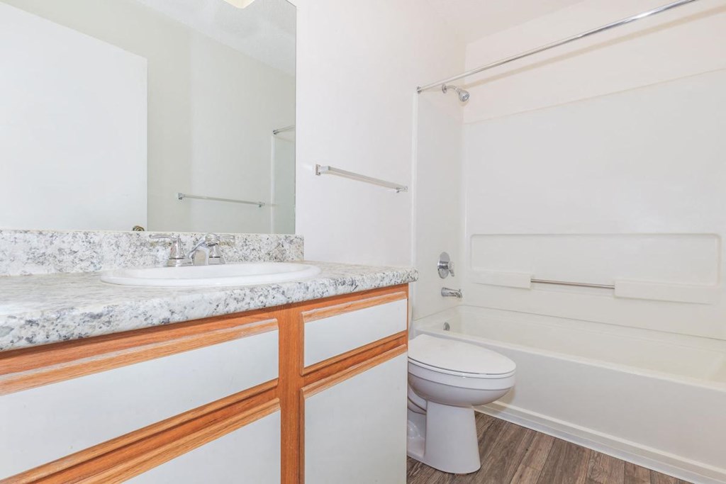 a bathroom with a sink and a toilet