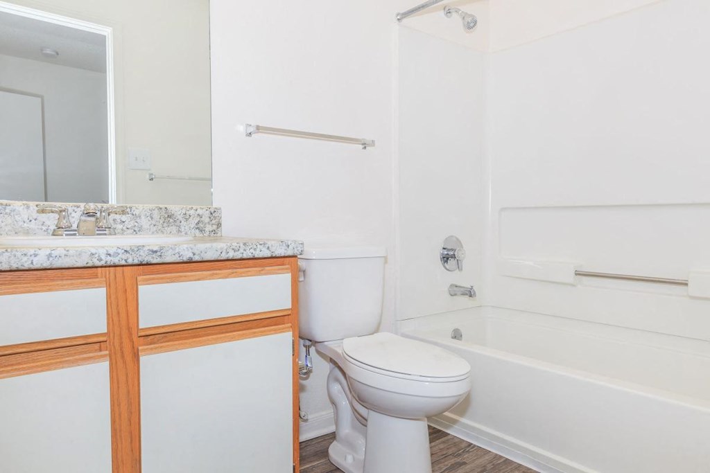 a bathroom with a toilet and a tub and a sink
