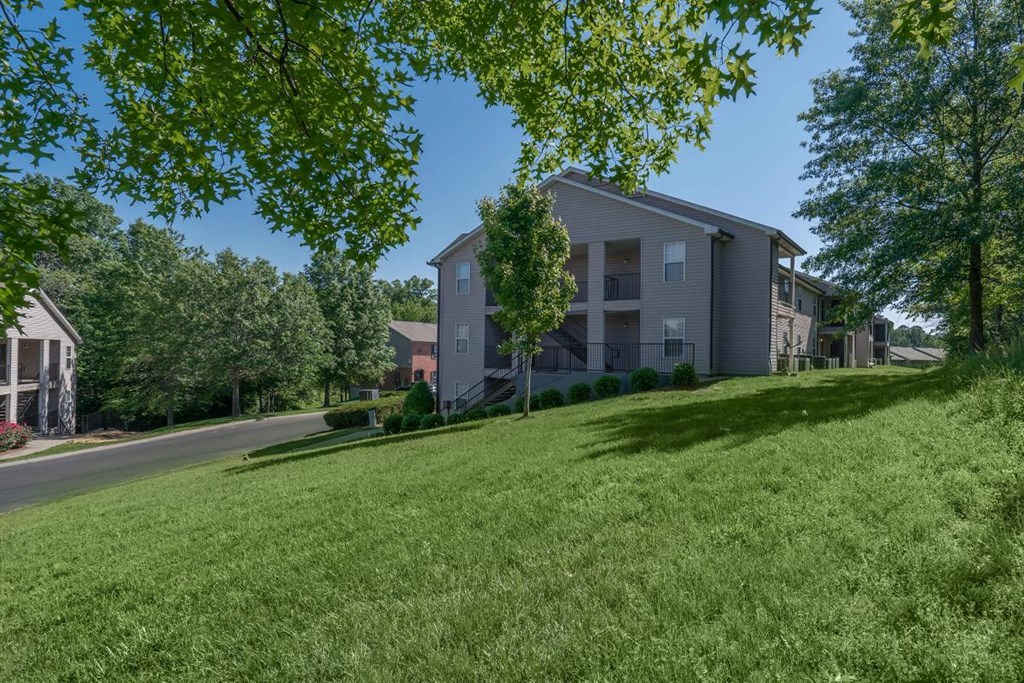 our apartments have a spacious yard with green grass and trees